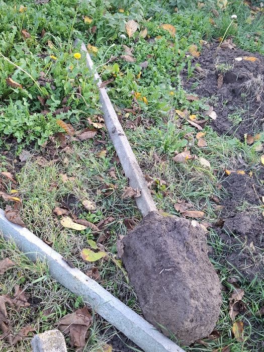 Бетонни колове 8 броя за лозе или за ограда.