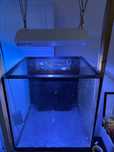 Lampa acvariu Giesemann 150w metal halide