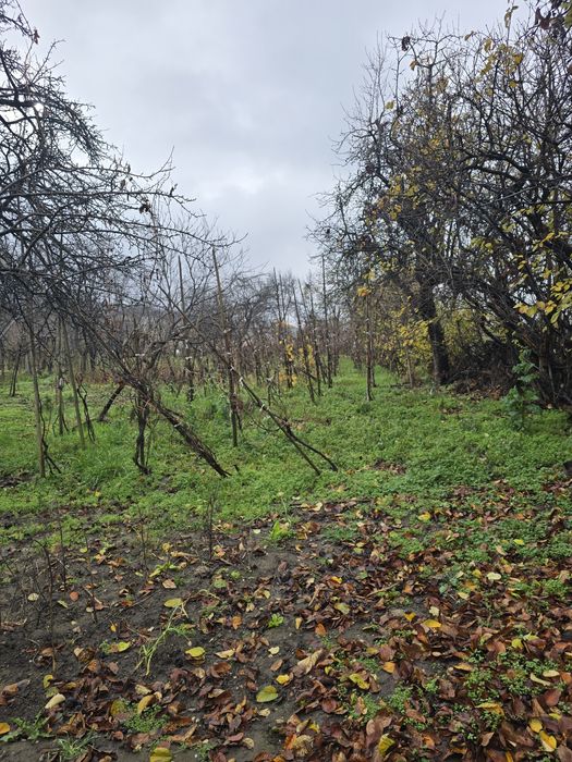 Casa de vânzare Com CALNIC Jud Alba