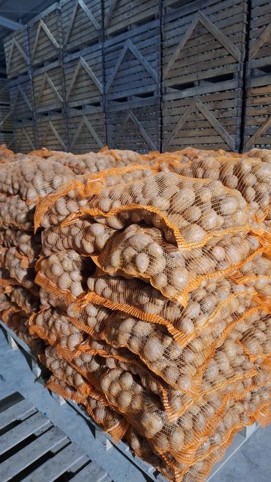 Vand cartofi samanta clasa B