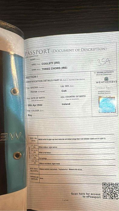 Vand Pur Sange Englez !!