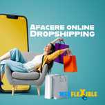 Afacere online Magazin online Dropshipping la cheie!