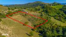 Teren extravilan 6,014mp | Holbav | BRASOV | COMISION 0|