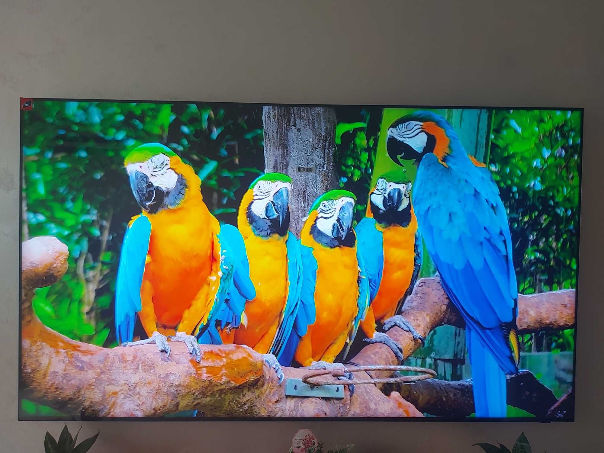 SAMSUNG QE-65QN800D 8K Qled smart tv