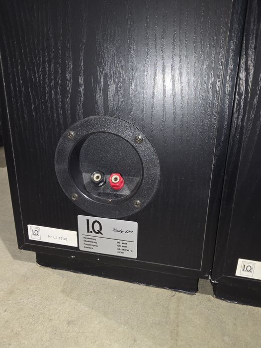 Set boxe pasive IQ Lady 120 120W