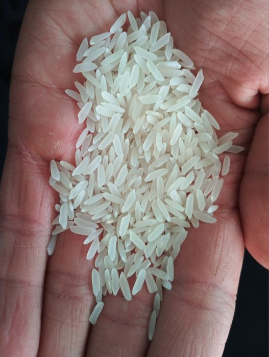 15.000 sum Лазер рис оптом 3 тонна бор яхши нахтдан