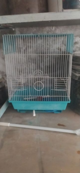 Qush qafasi sotiladi