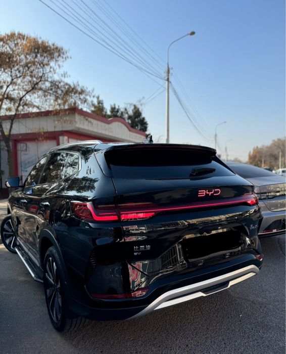 ‼️byd chempion reatailing 605