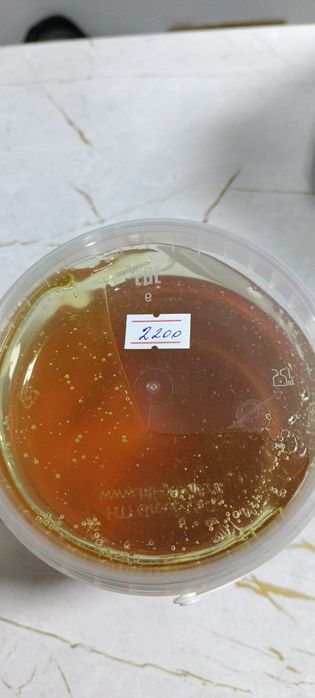 Продам натуральный мёд по хорошей цене. Оптом и в розницу.