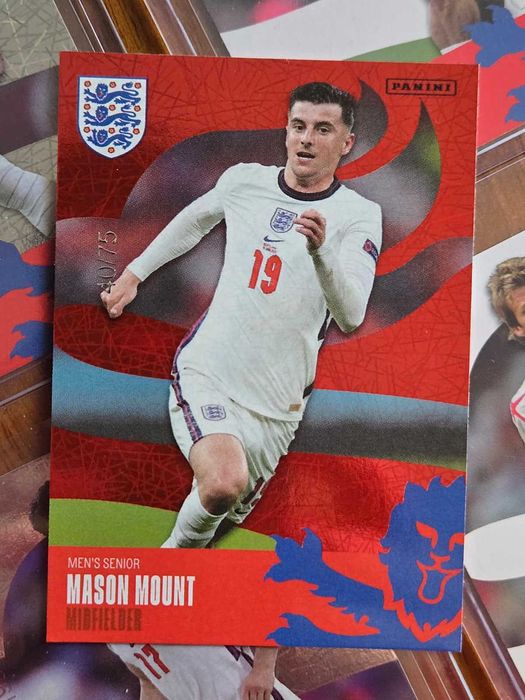 Panini - Best of England (3 Holo)