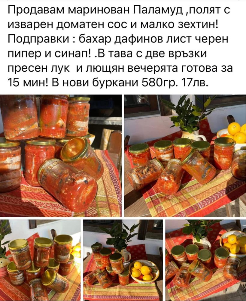 Продавам Паламуд 20лв и сафрид 12лв
