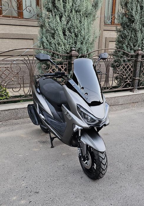 Gst tiger arzon narxda