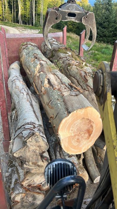 Lemn de foc bustean sau spart