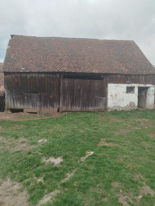 Vând sură veche 15 metri lungime 9 latime