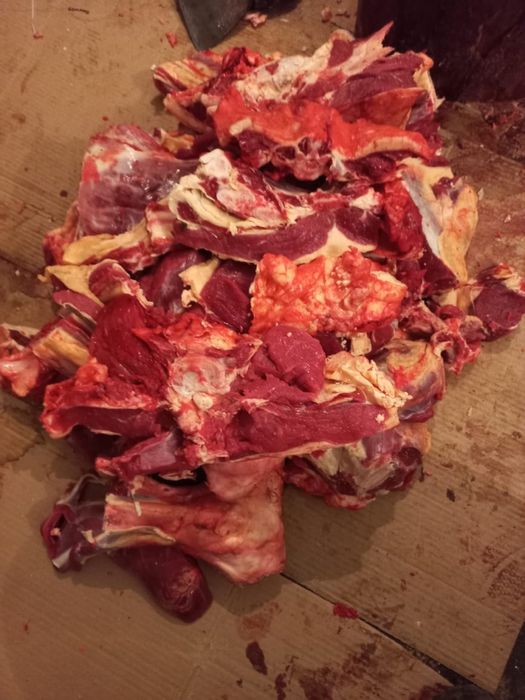 Мясо говядина по частям