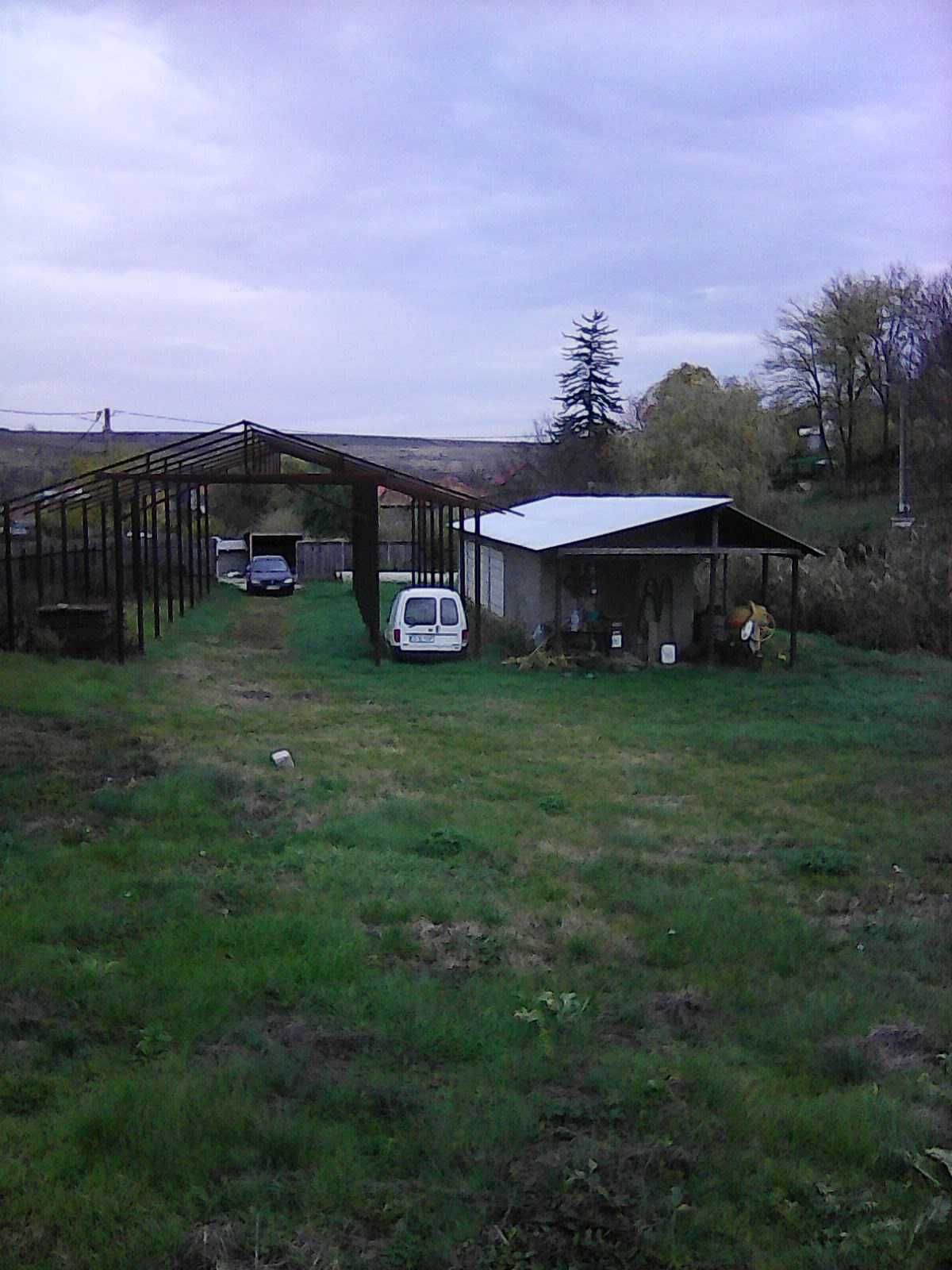 Proprietati-sat Radeni, com. Roscani, jud. Iasi teren 3000mp