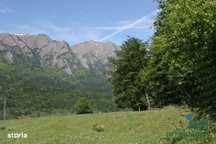 Teren Busteni- intravilan