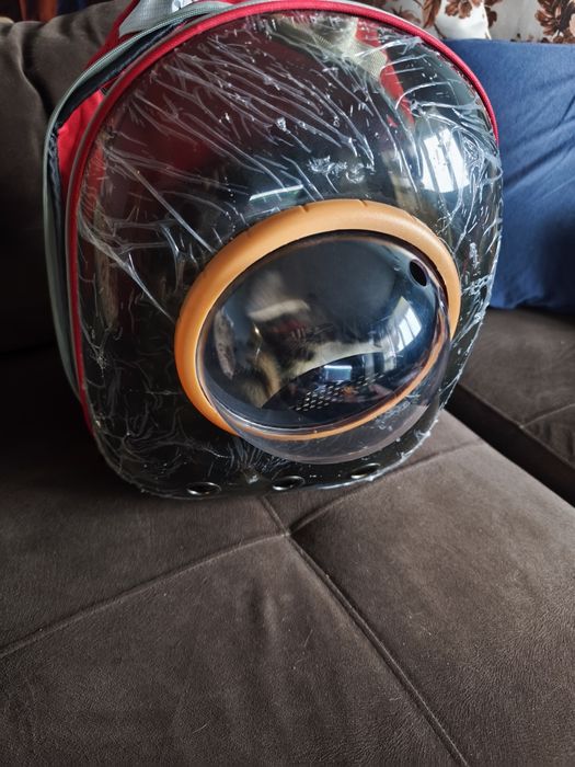 Чанта за домашен любимец