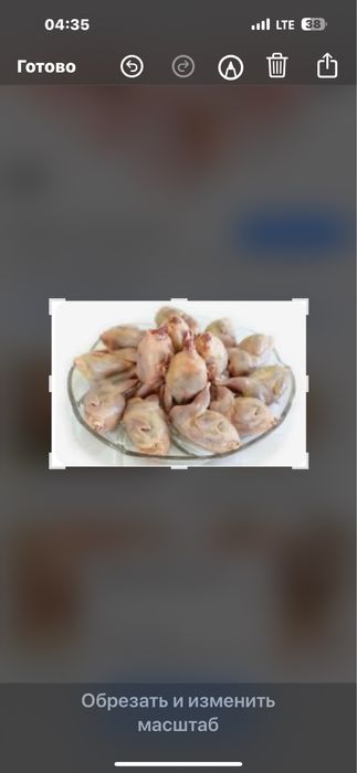 Мясо домашней перепелки