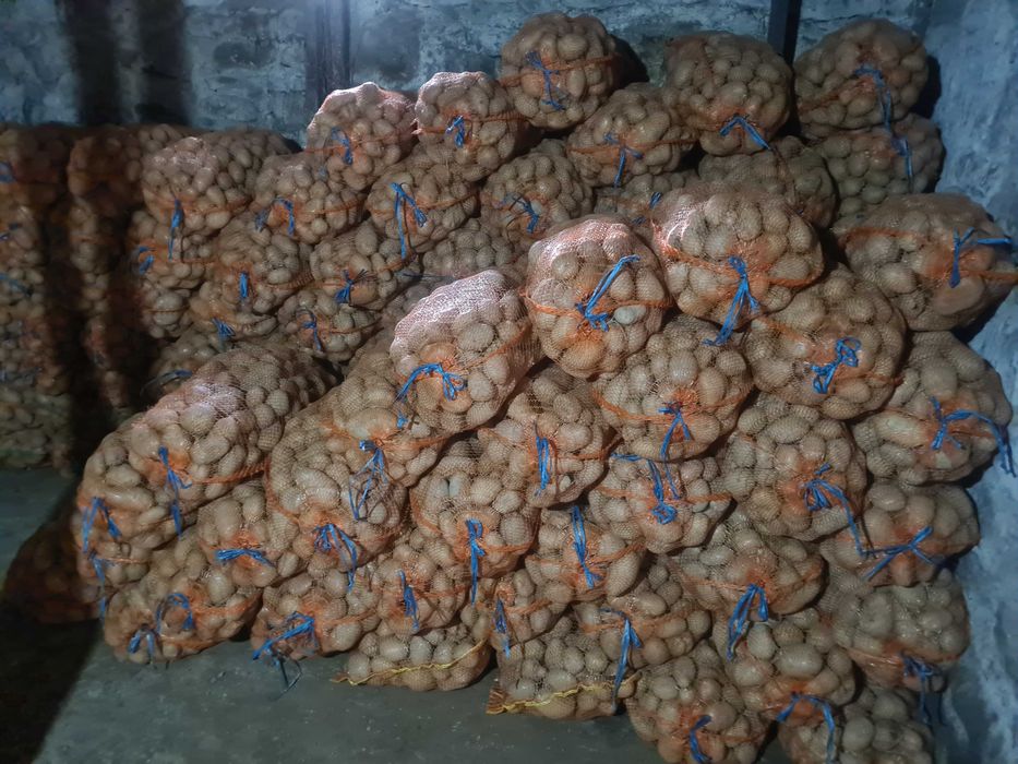 Cartofi consum alb si rosu