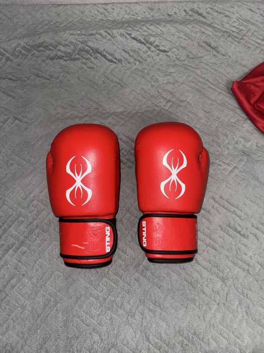 Перчатки STING world boxing, с чемпионата мира