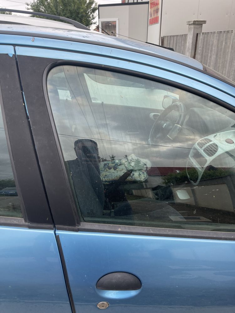 Vand autoturism Peugeot 206