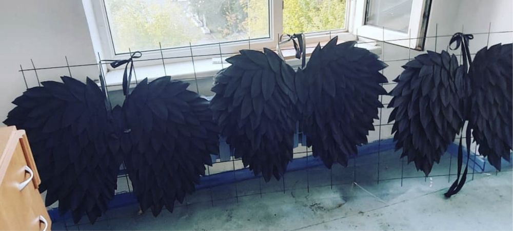 Черные крылья. Крылья