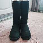 UGG Classic Tall originale