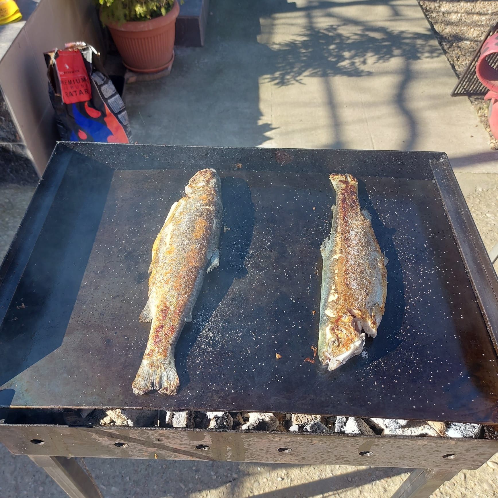 Plita pentru fripturi de peste, legume, carne!!