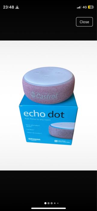alexa echo dot castrol
