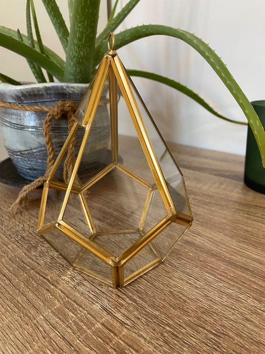 Терариум за растения - златен