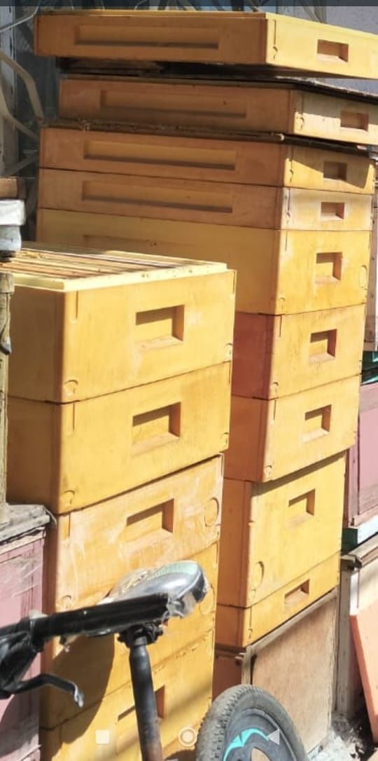 Продам пчёл и всё необхрдимое для пчеловодства