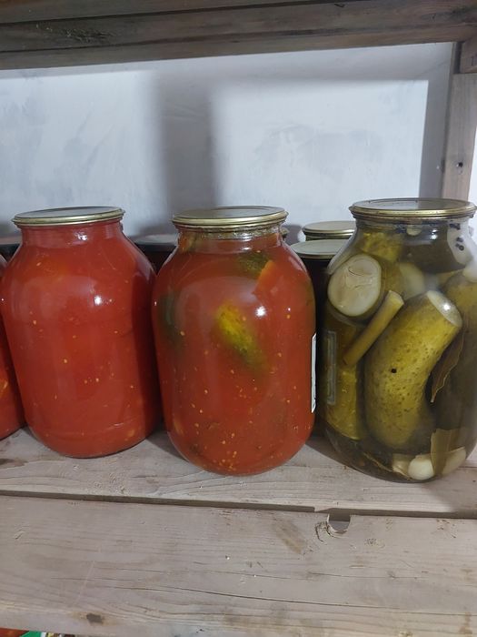Огцрцы в томатном соке и помидоры в томатном соке