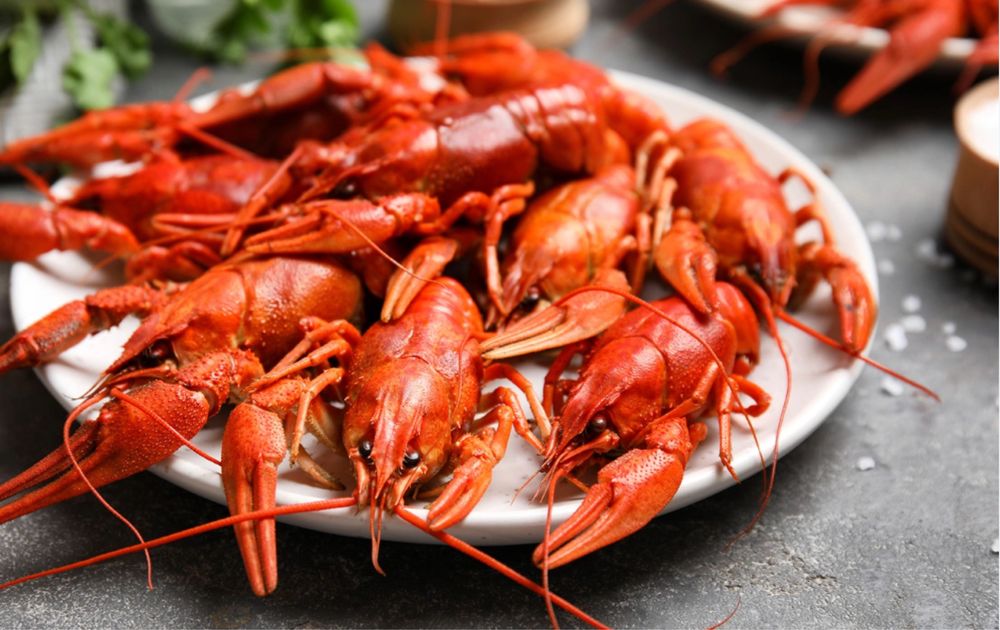 Продам раков……..