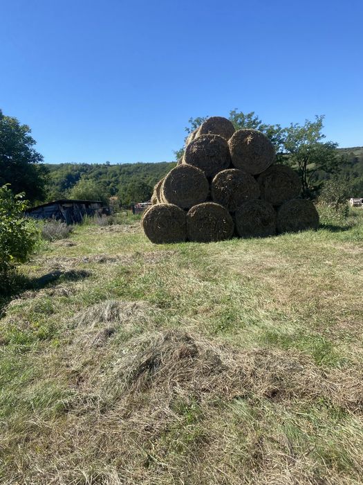 Vand baloti de paie de garu