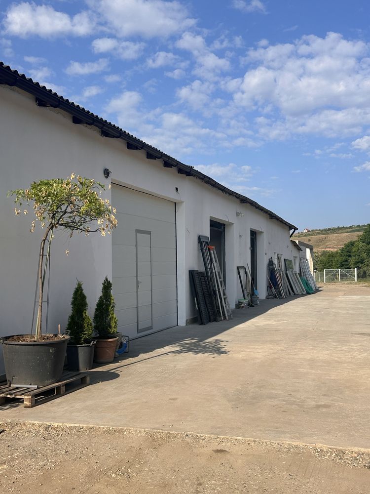 Inchiriere hala industriala 80mp util in Alba Iulia