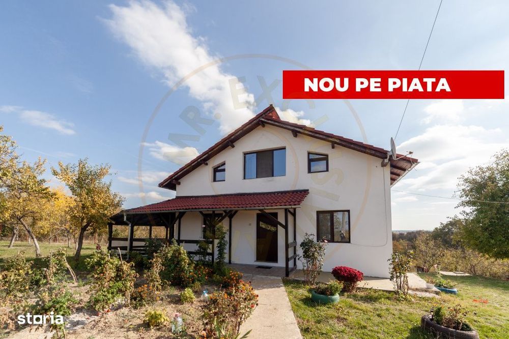 Casa P+M cu teren 2788 mp COCU -RACHITELE ARGES