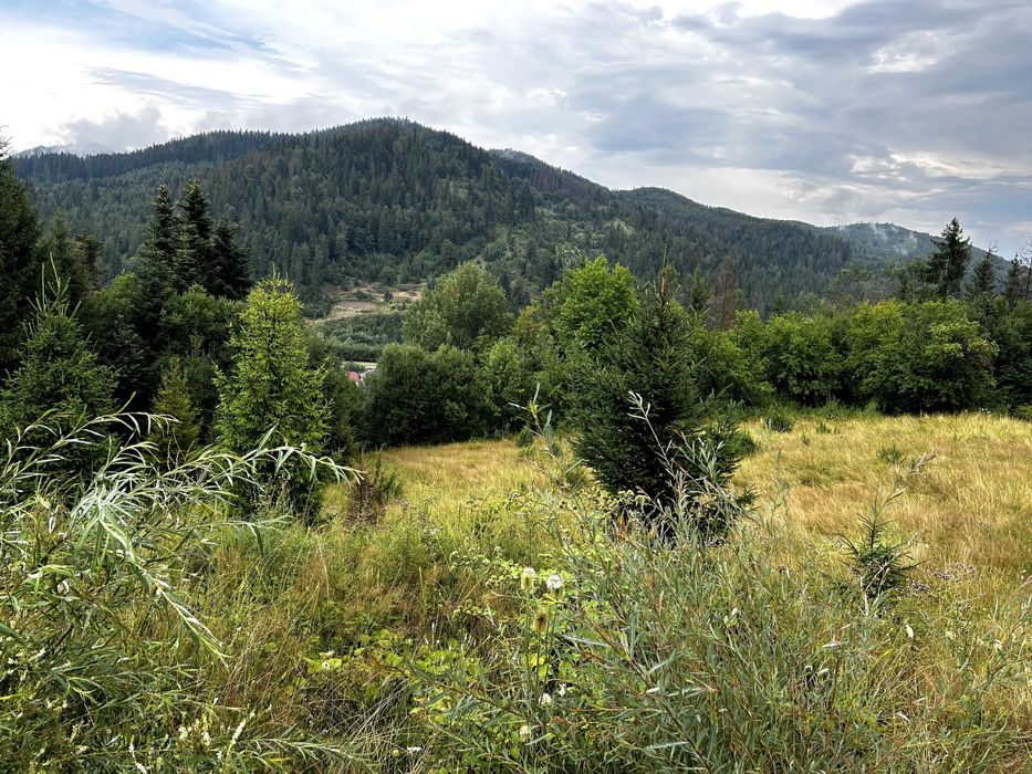 Teren intravilan cu peisaj suberb | 5311 MP | Sucevita | Bucovina