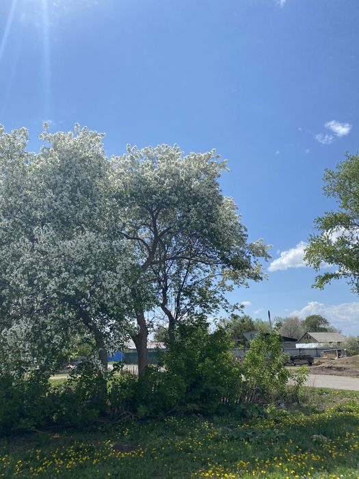 Продам дом с участком в центре поселка Жибек-Жолы!