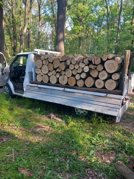 Vând deșeuri, lemne de foc esență tare mă deplasez pe orice distanta