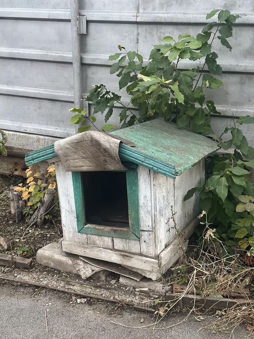 Будка для собаки