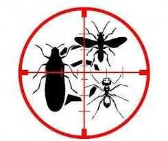 Servicii DDD pentru instituții publice – contracte și documentație