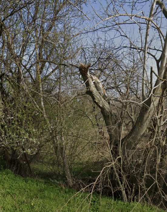 Имоти Силистра продава място в с. Ламбриново