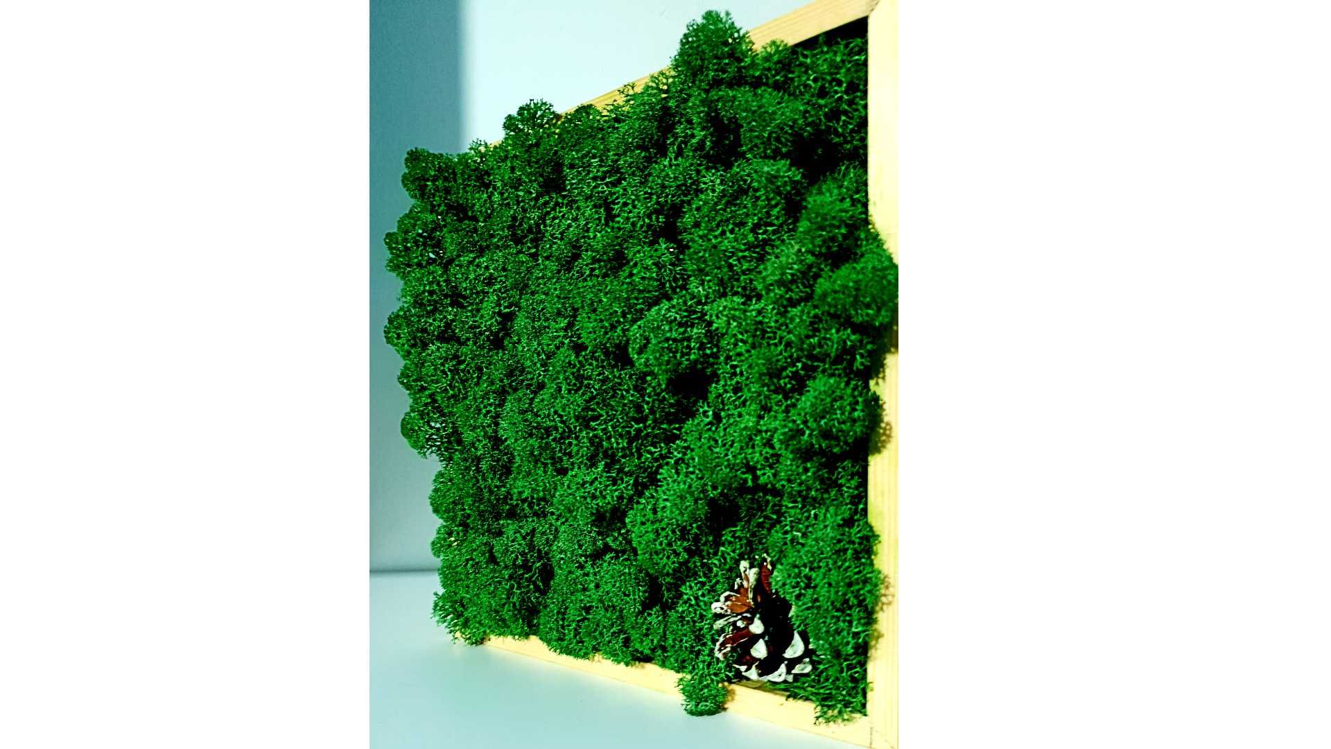 Tablou cu Licheni  Stabilizati si Con de Brad 22x22 Cm "Forest Green"