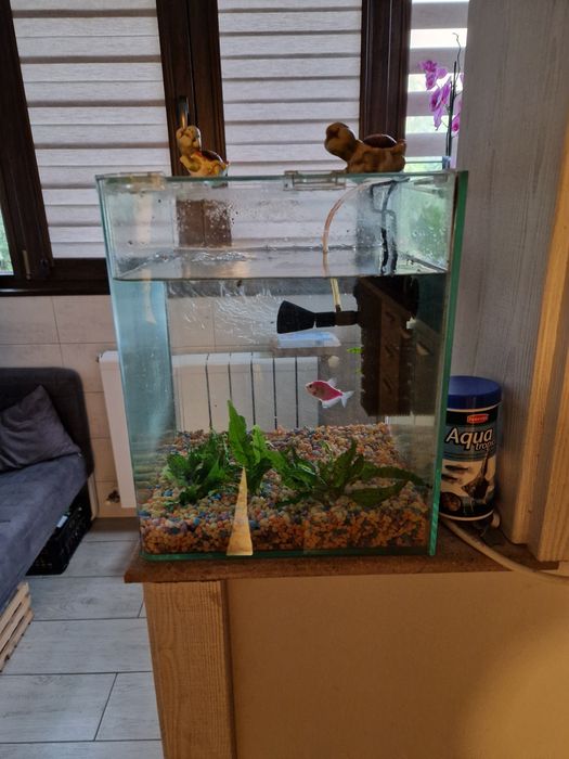 Acvariu 20 l, accesorii incluse