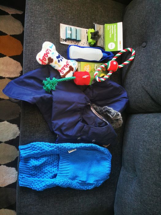 Accesorii cățel talie medie/mare