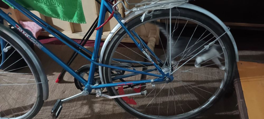 Velosiped sportivniy Sotiladi qulay juda Germaniskiy vellik