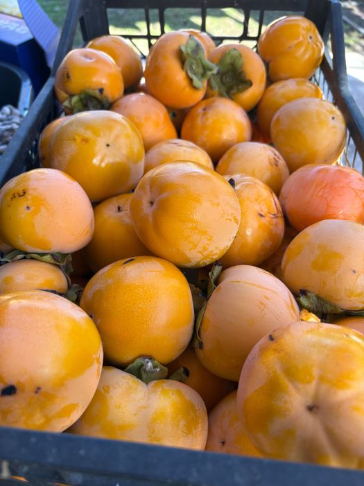 Райска ябълка кг