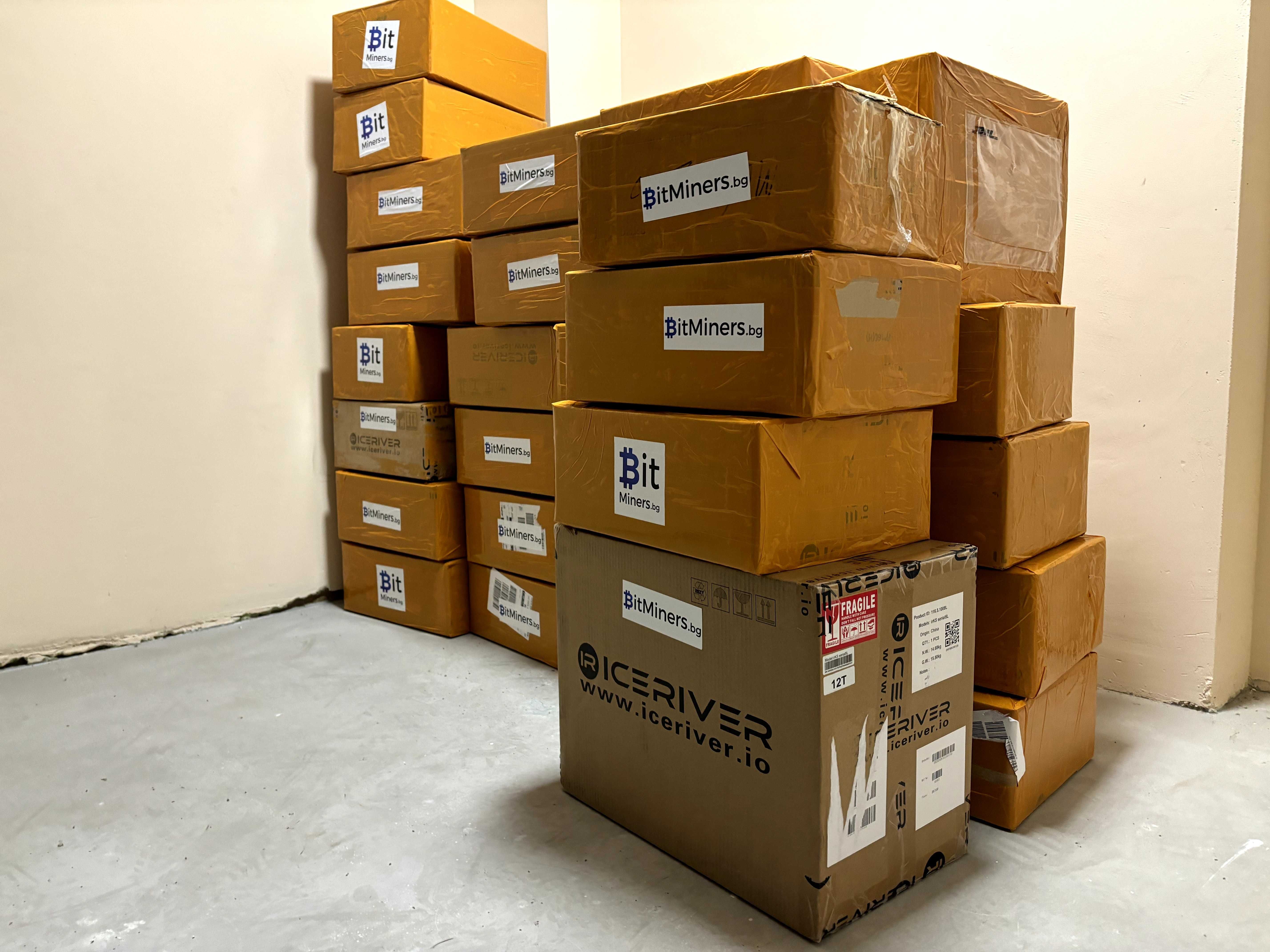 Elphapex DG1+ 14Gh/s
