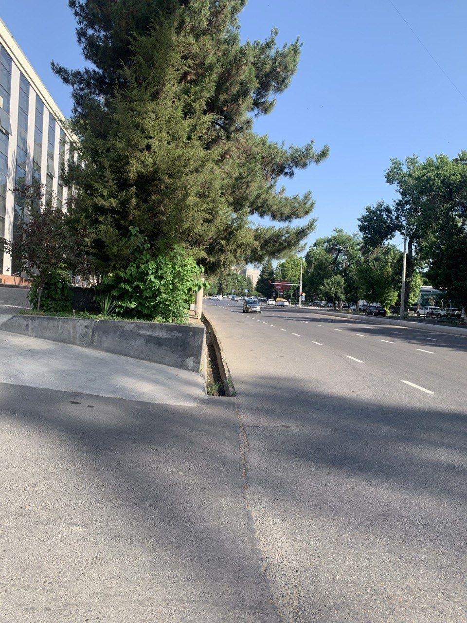 Ул. Мирабад  под офис.  Вторая  линия.
